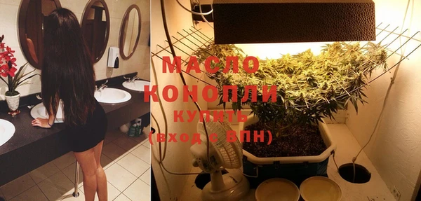 молекула духа Бугульма